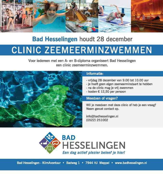 flyer Zeemeerminzwemmen 28-12-2018 Bad Hesselingen