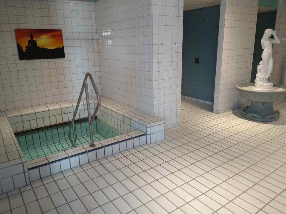 sauna-dompelbad-schrubzuil_Bad-Hesselingen-Meppel_